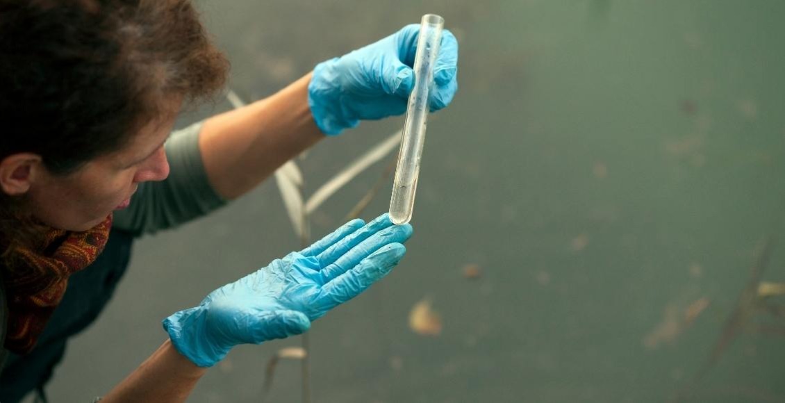 <strong>El agua en el mundo</strong>